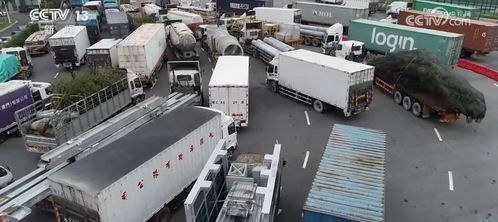 車暢人旺，港珠澳大橋經貿通道正崛起