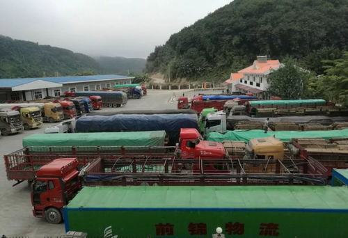 關(guān)累港口聯(lián)合黨工委 以國門黨建固邊興邊 促邊境發(fā)展繁榮穩(wěn)定 助力貨物進(jìn)出口騰飛